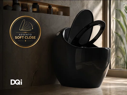 Vaso Sanitário Monobloco Preto Com Caixa Acoplada Formato Oval