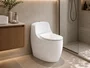 Vaso Sanitário Monobloco com Caixa Acoplada em Cerâmica Branco Soft Close