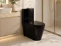 Vaso Sanitário Monobloco Cerâmica Preto com Caixa Acoplada